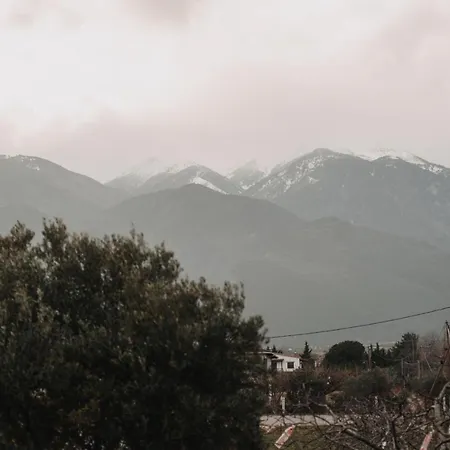 Βίλα Mythic House *