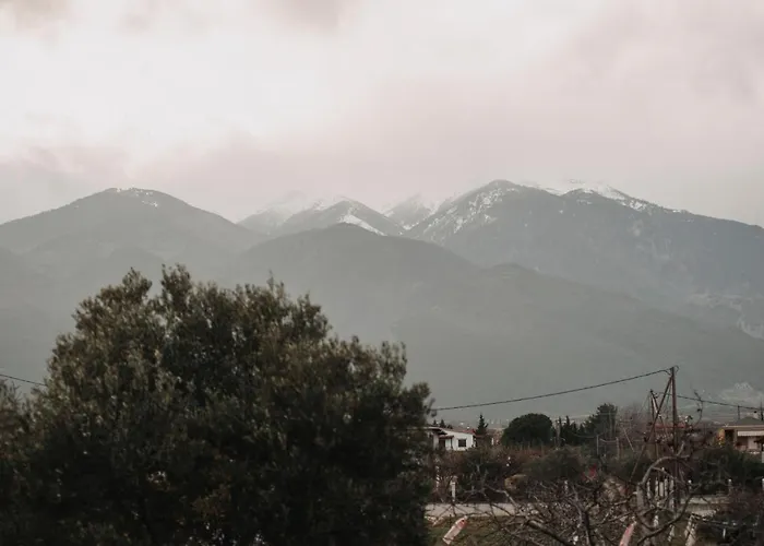 Villa Mythic House *